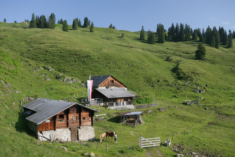Rinderalpen_lggu.jpg